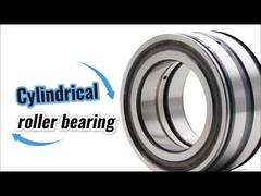 SL045010-D-PP フルコンプリメント ダブルロー SL045010PP 円筒ころ軸受