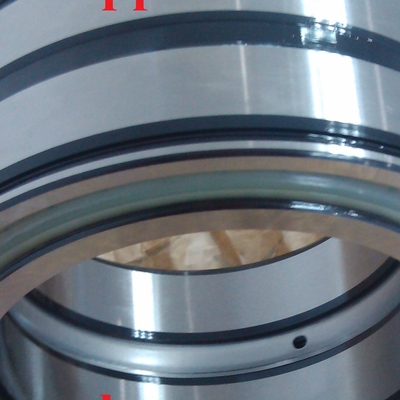 Sl045014 完全補完型円筒型ローラーローヤリング Sl04 5014 Pp Nnf5014