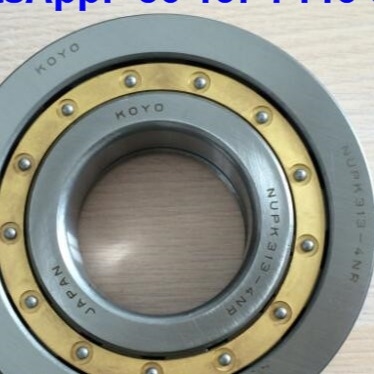 NUP313-4N 円筒型ローラーラーリング NUPK313-4NRS02C3 スナップリング付きローラーラーリング